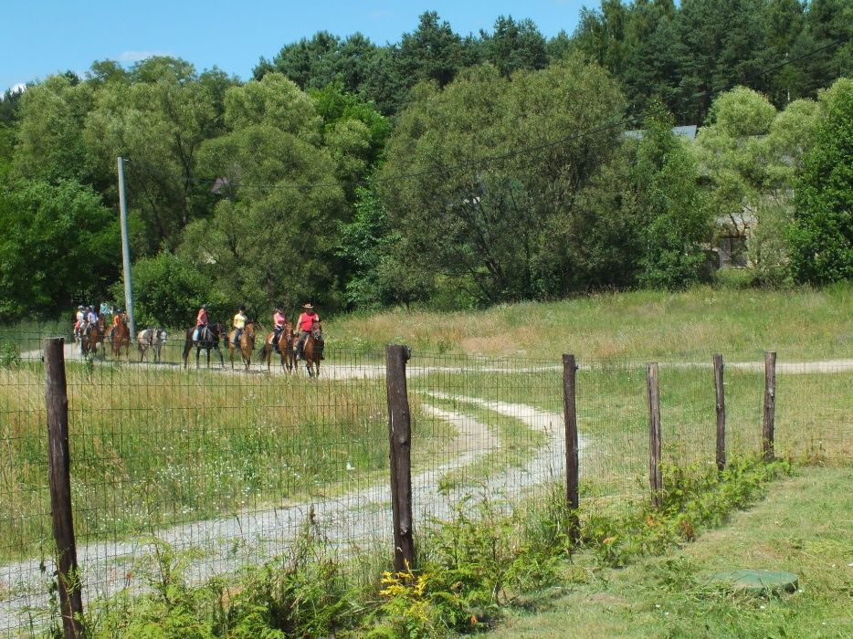 Domki Chańcza Życiny