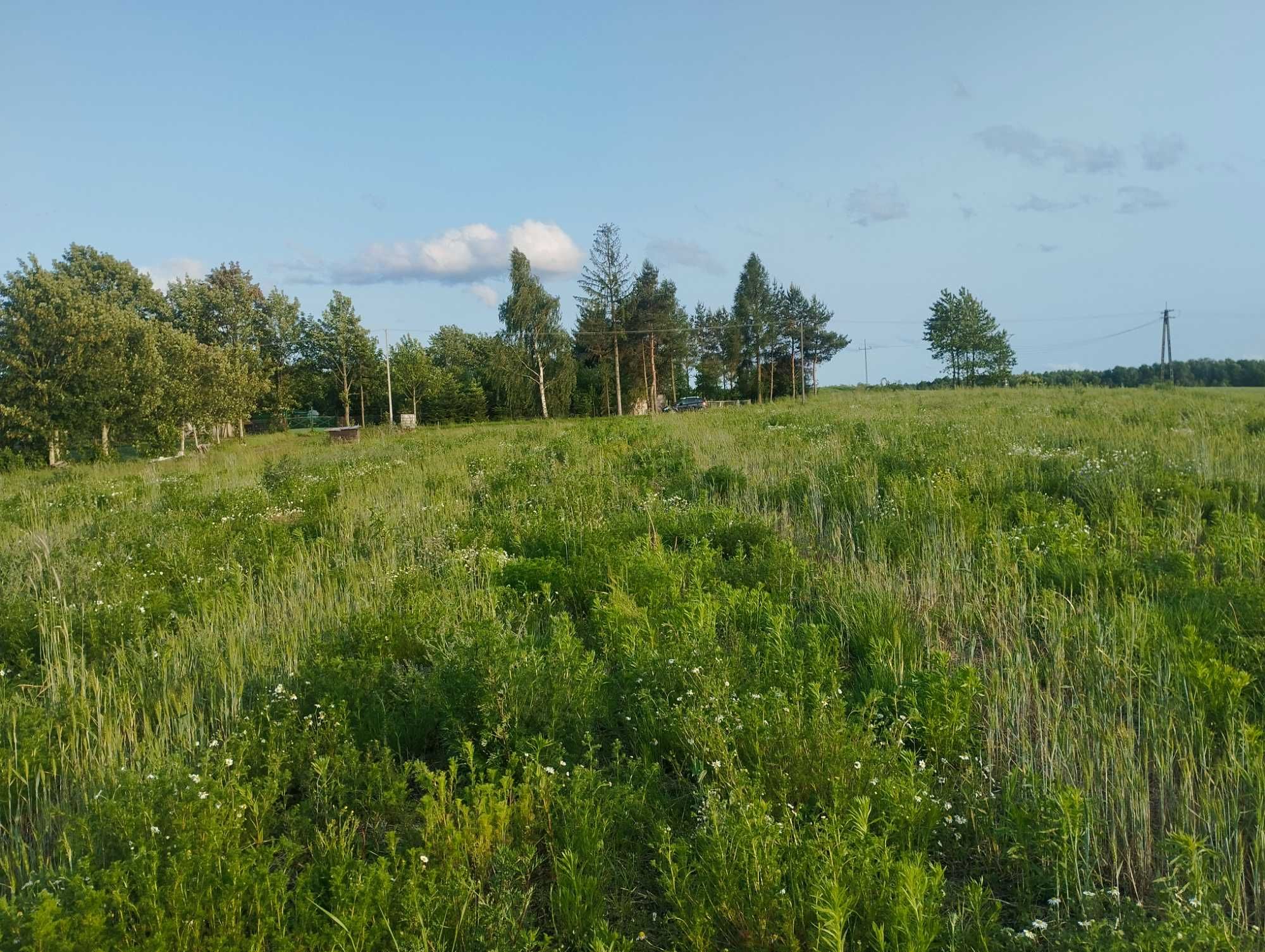 Działki budowlane w sąsiedztwie lasu od 10 do 20ar