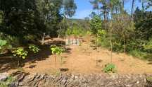 Terreno para venda, Orbacém, Caminha