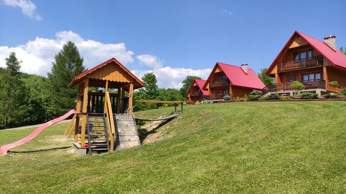 domek + alpaki, SPA, zarybiony staw Bieszczady