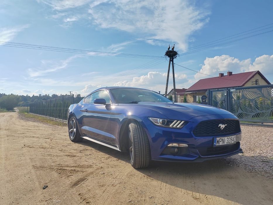 Mustang Fastback 2.3 Turbo | Automat | Sprzedam/zamienie