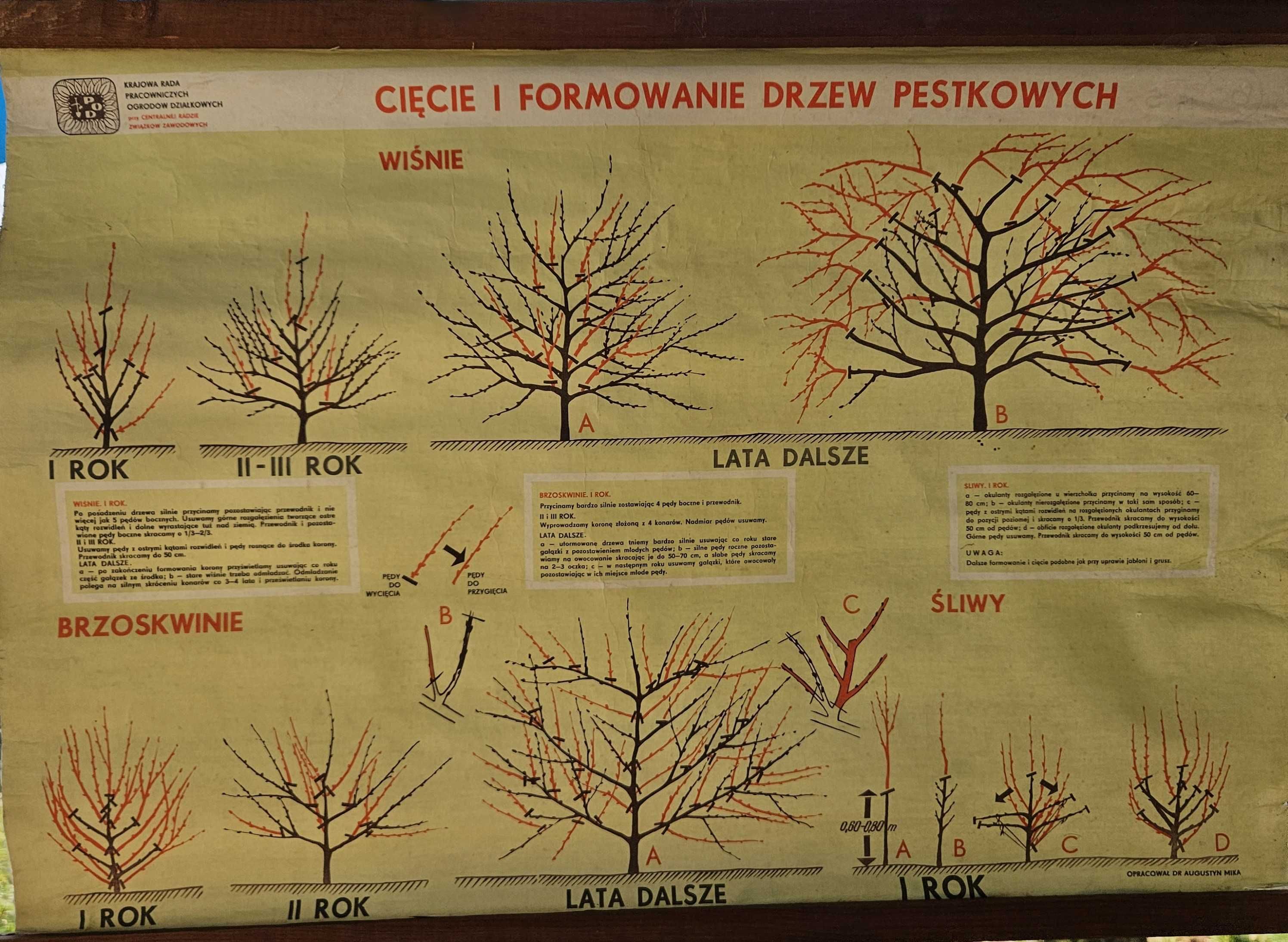 Tablica instruktażowa ogrodnicza