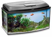Aquael classic box 80 akwarium owalne 102l + pokrywa led Day&Night