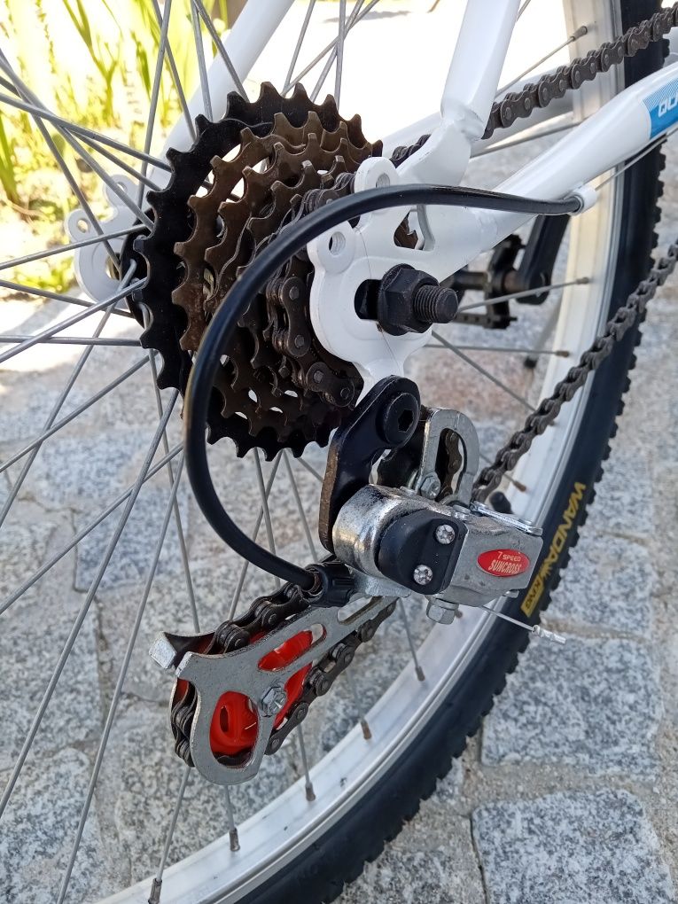 Bicicleta roda 24
