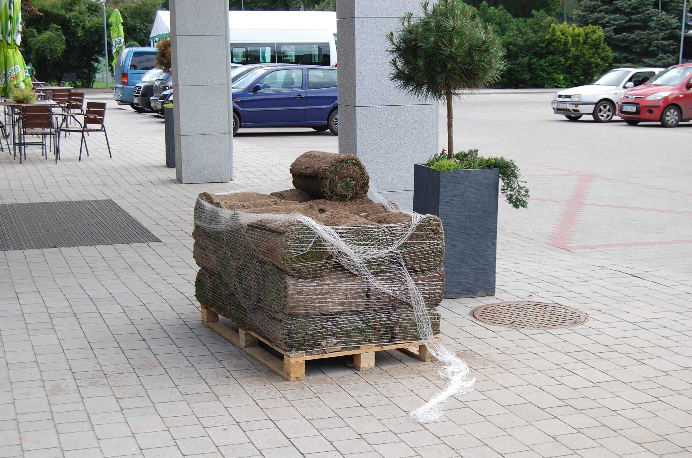 Trawa w rolkach, trawnik z rolki, w rolce, wysoka jakość chłodzona 4°C