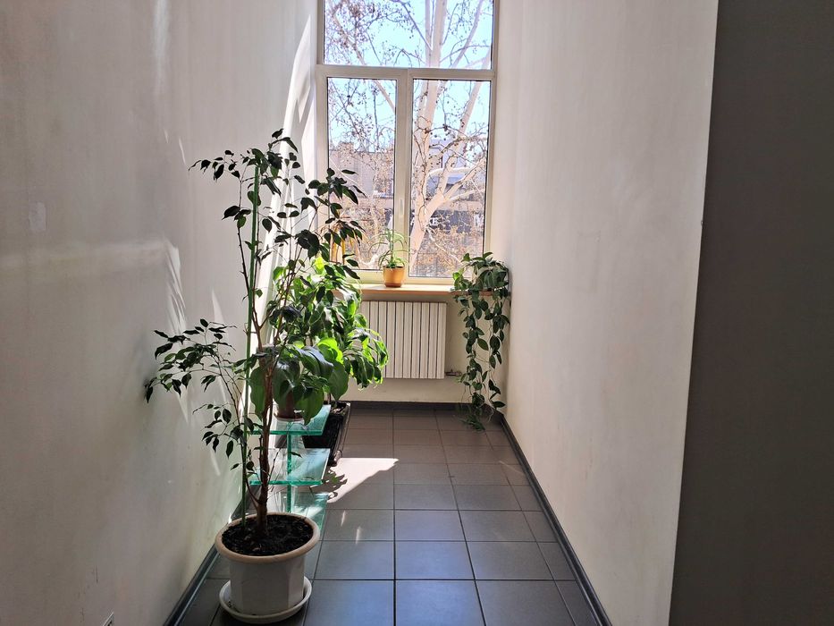 Сдам офис в центре города общей пл.12 кв.м , 5550 грн.