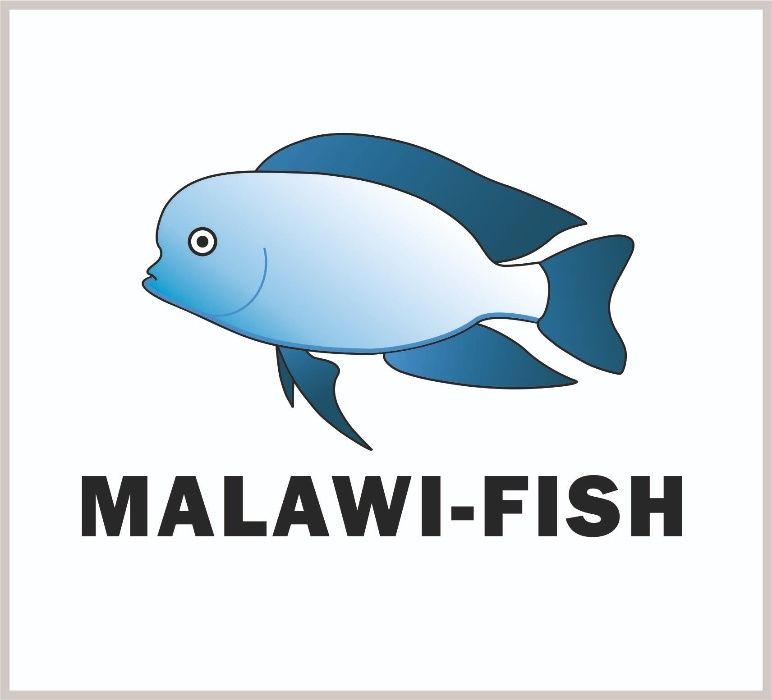 Африканские Цихлиды Малави Аквариумные рыбки