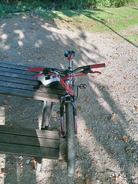 Bicicleta Berg sportcross
