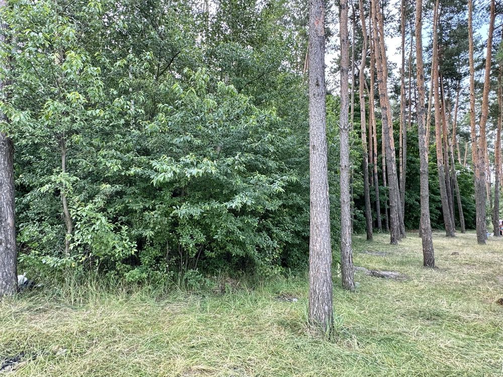 Земельна ділянка біля озера! 20 соток. Нове Залісся.
