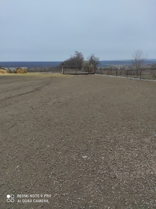 Продам ферму, птичник, телятник в Солонянском районе Днепр