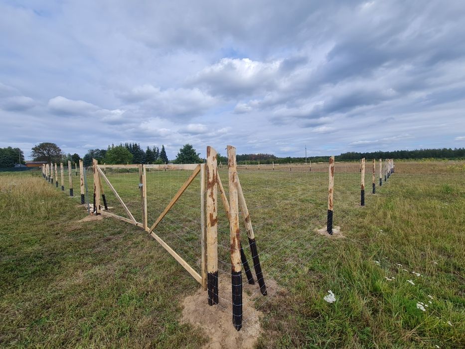 Ogrodzenie tymczasowe leśne budowa