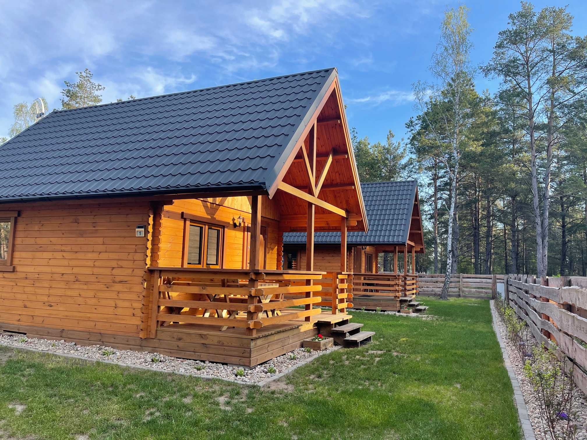 Domki Leśne Dziady Borsk z jacuzzi i sauną