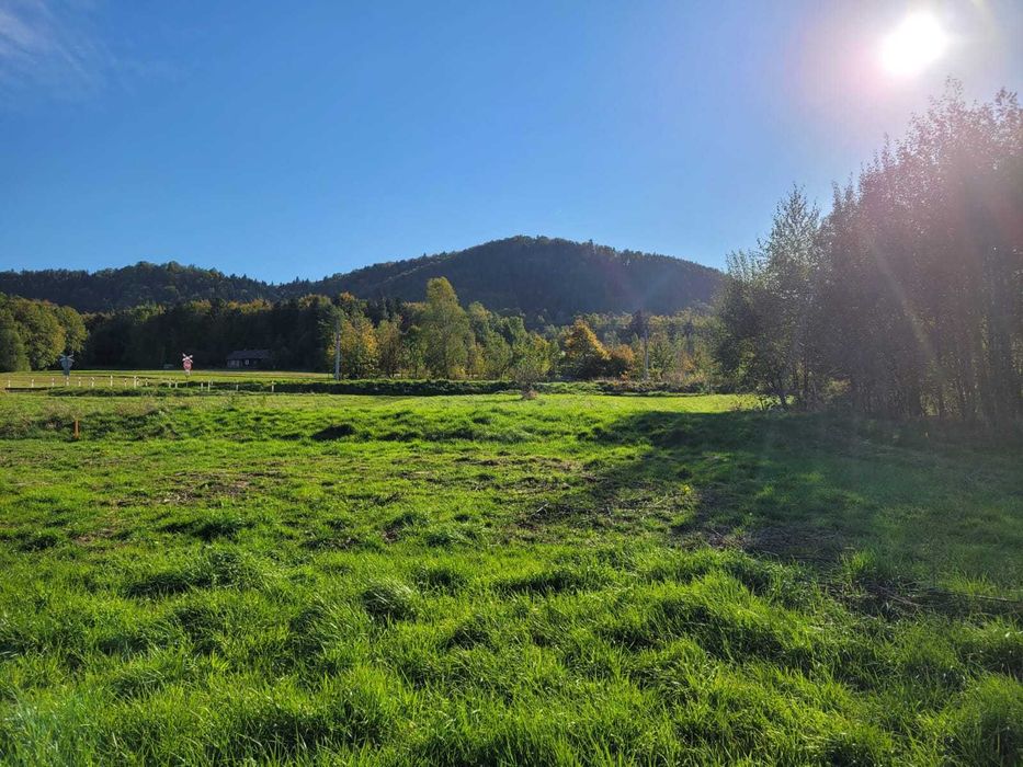 Duża działka rolna