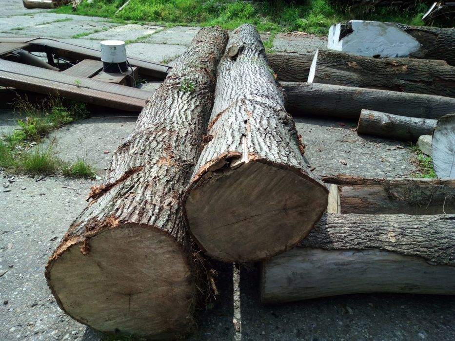 Sprzedam- drewno lipowe do rzeźbienia cena do negocjacji