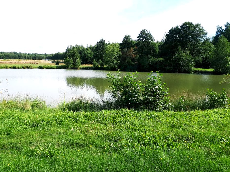 Działa budowlana nad jeziorem z Warunkami Zabudowy niedaleko Mińska M.