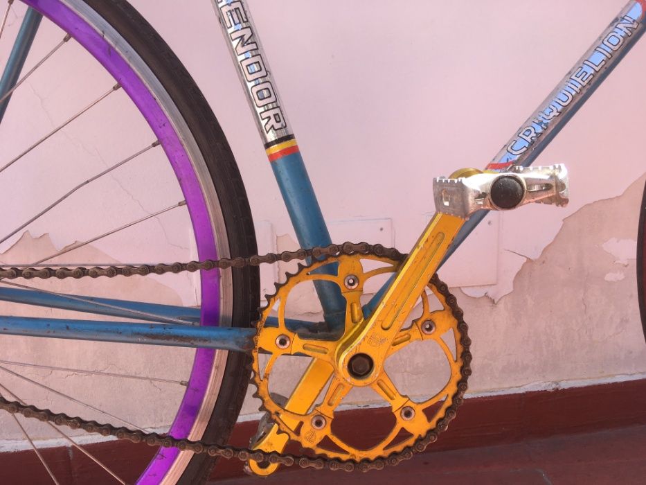 Splendor Criquielion - Fixed Gear/Single Speed