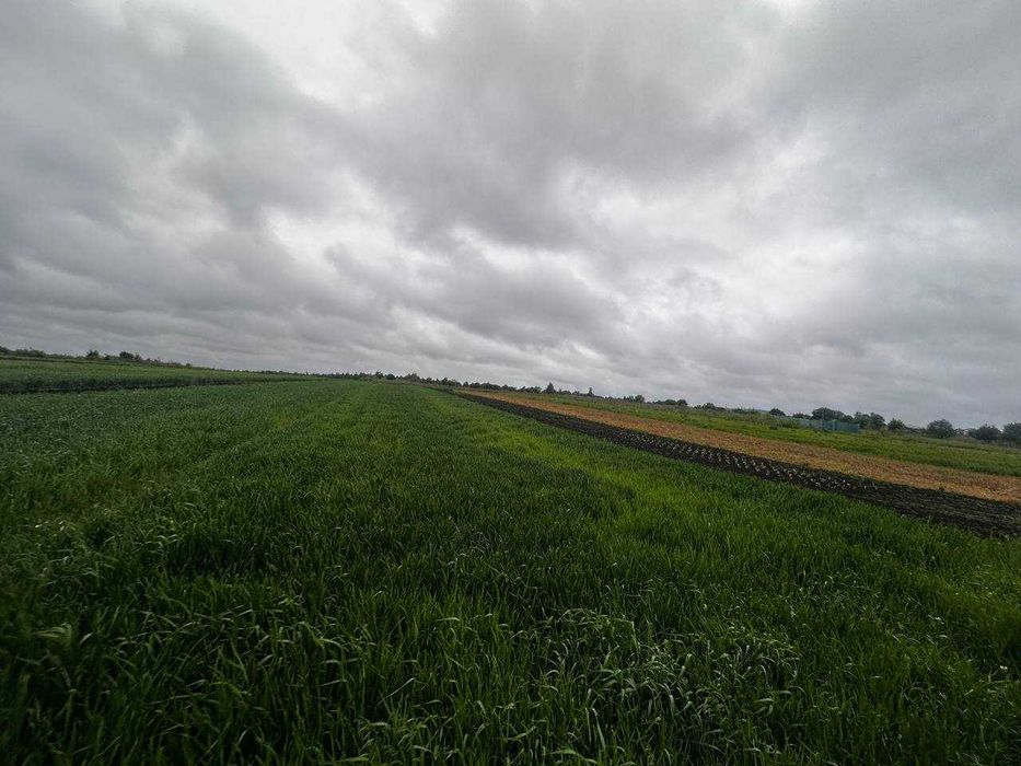 Продаж землі Зубра Лесі Українки 20соток