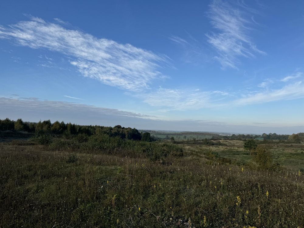 Na sprzedaż: 25,49 ha gruntów rolnych w gminie Godkowo