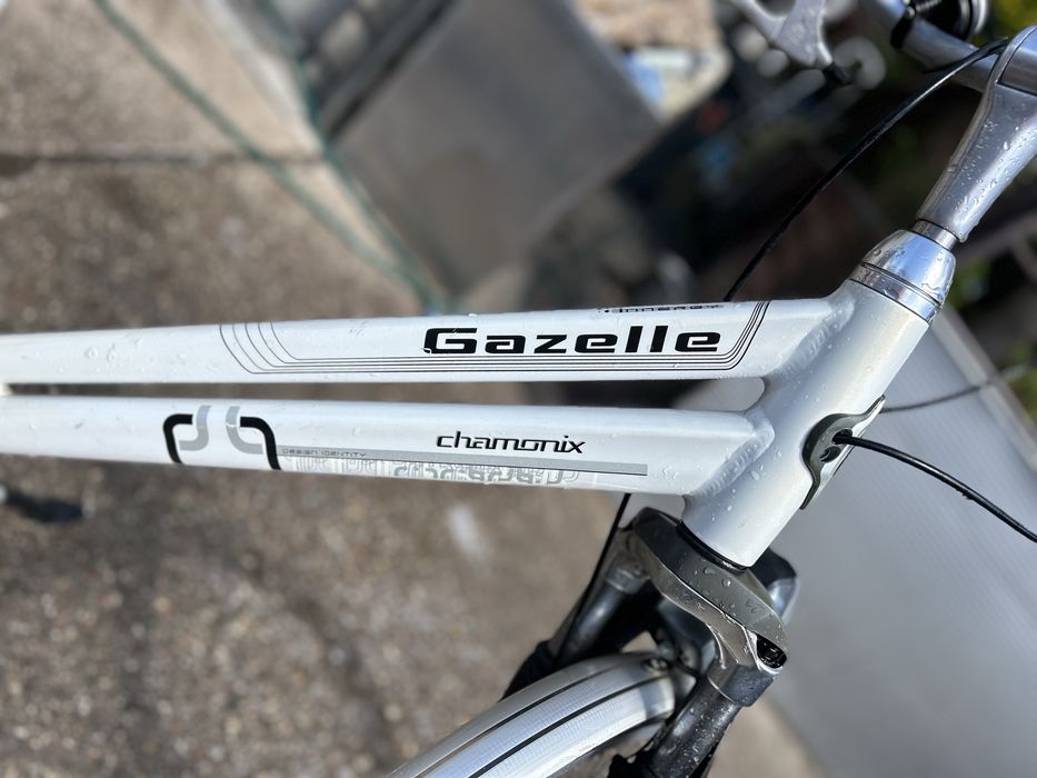 Rower damski Gazelle Chamonix holenderski