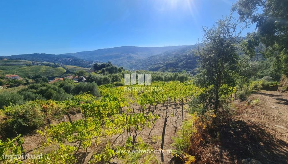 Venda de Terreno, Stª Marinha do Zêzere Baião