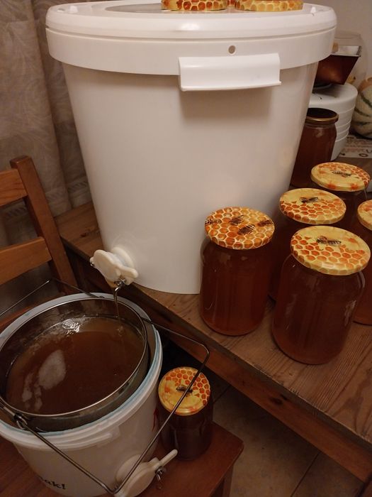 miód LIPOWY z 19.07.2025r. Pyszny