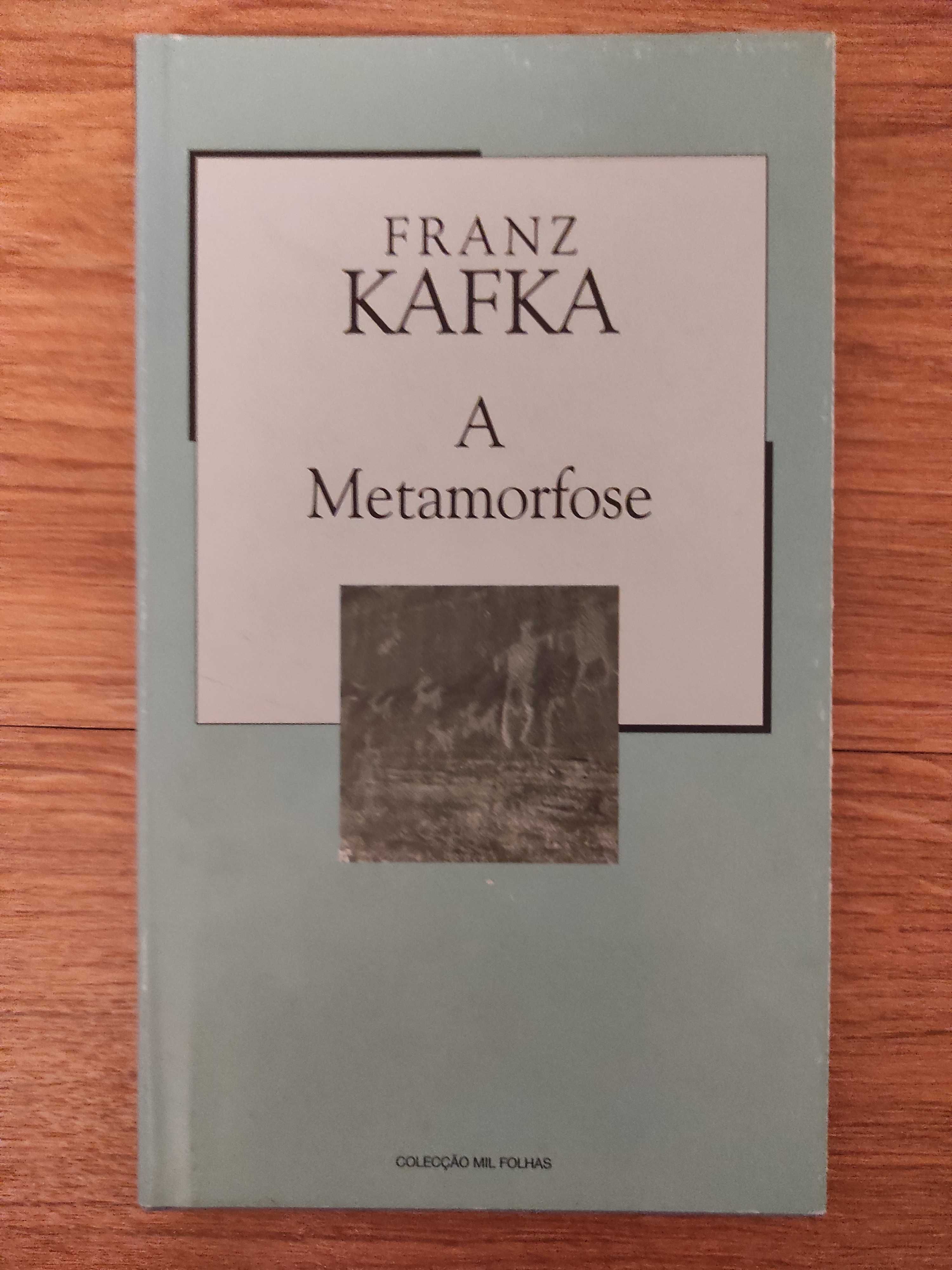Franz Kafka - Metamorfose (Novo- portes incluídos)