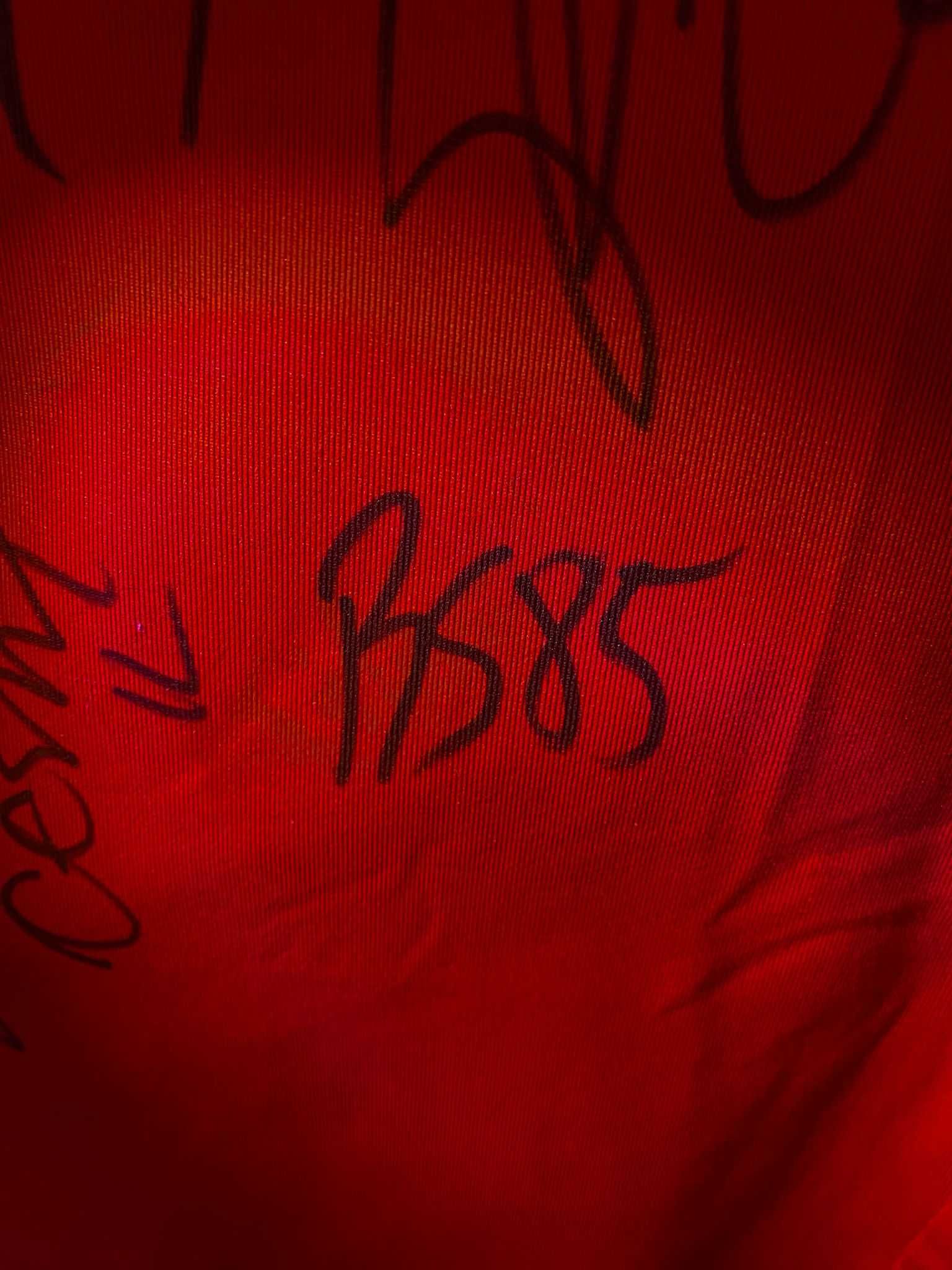 Camisola Oficial Benfica 2015/2016 Autografada (Jogador Pipo)
