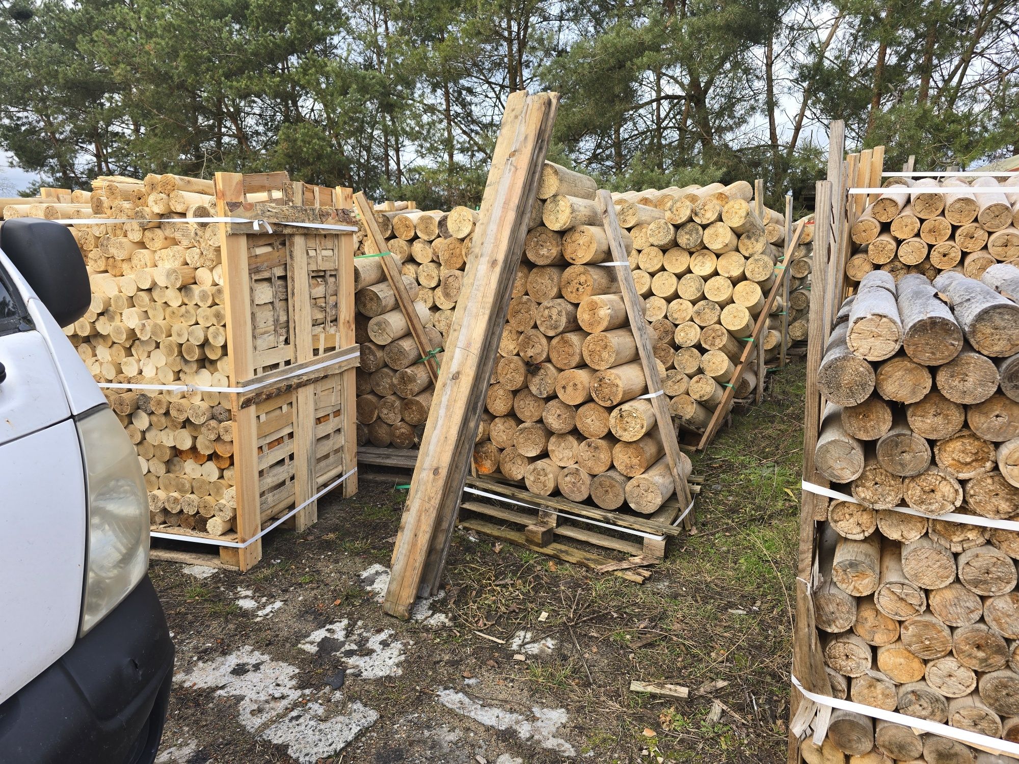 Drewno opałowe, okrągłe wałki topolowe