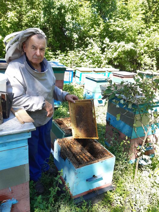 Мед 5 видів акація, липа, різнотрав'я, ріпак, гречка, забрус та інше.