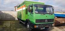 MERCEDES 814L, do bydła, do żywca, do PRZEWOZU ZWIERZĄT