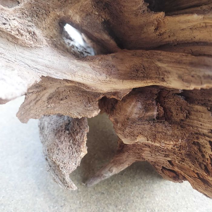 Duży naturalny, masywny korzeń do terrarium