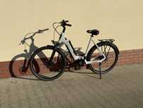 Winora Tria 7 Eco 61cm Bosch Acive 400Wh