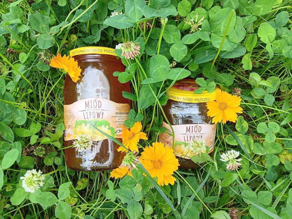 Miód Lipowy naturalny. Miód z Rezerwatu