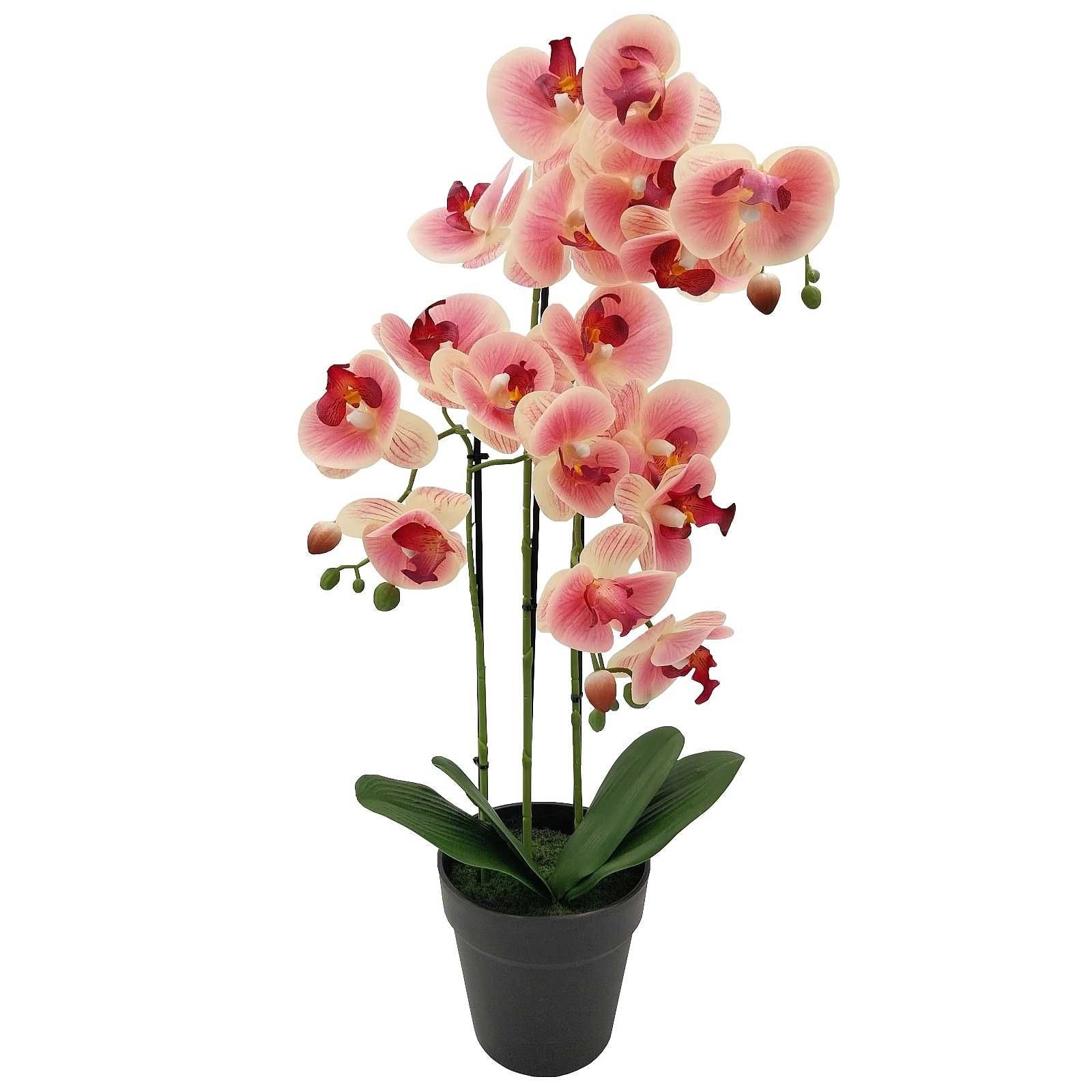 Storczyk w doniczce wysoki różowy sztuczny storczyk duży 70cm orchidea