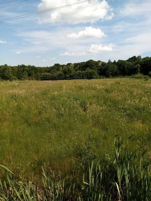 Продам земельну ділянку 12 км від міста_D