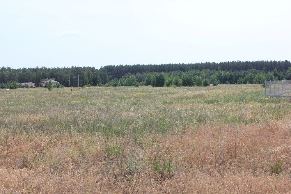 Вышгородский район, Синяк, участок под застройку