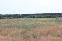 Вышгородский район, Синяк, участок под застройку
