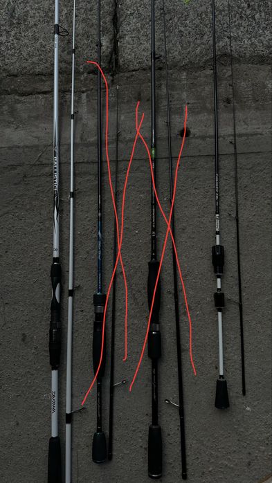 Wędki daiwa, biutifu opis