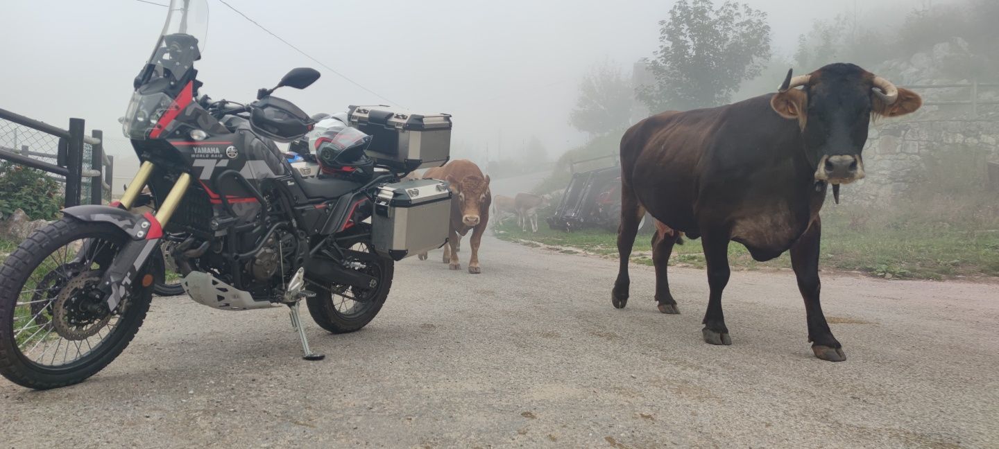 Yamaha Ténéré 700 (SEM EXTRAS NENHUMS)