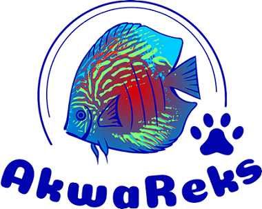 Zestaw akwariowy Juwel Rio 125 Led + SZAFKA w 5 kolorach - Akwareks