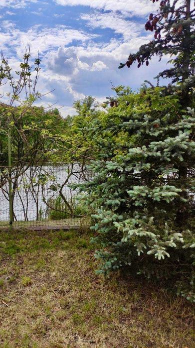 Оренда чудового будинку на березі річки,с.Вишеньки,сонячні батареї!