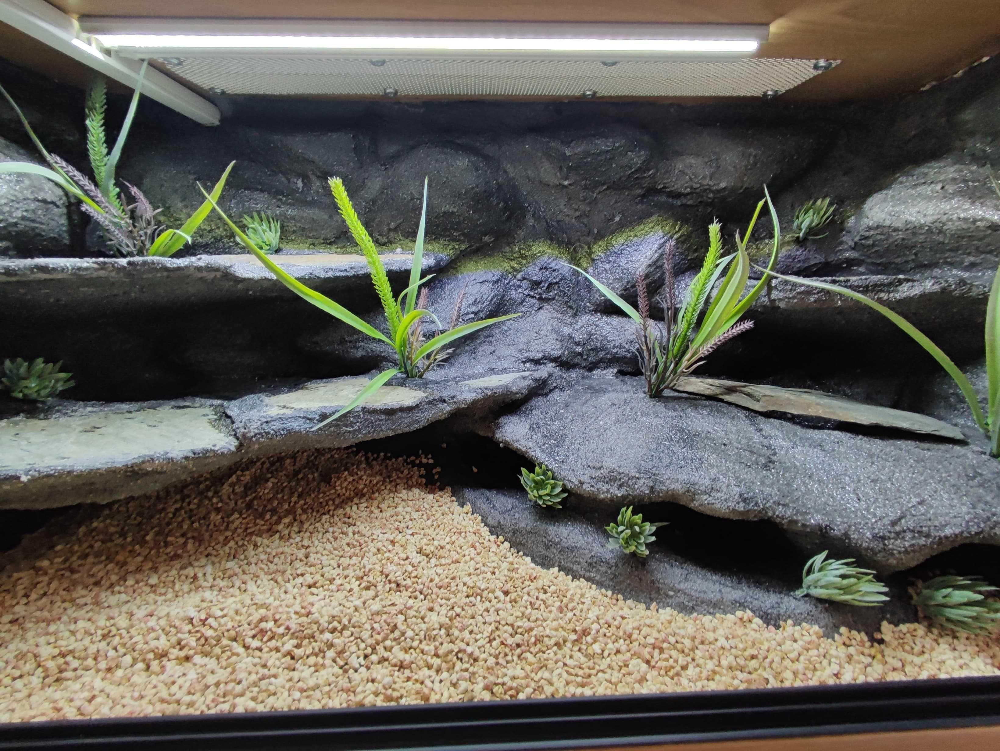 Terrarium pustynne nr744 80/40/40 dla gekonów lamparcich DOSTĘPNE