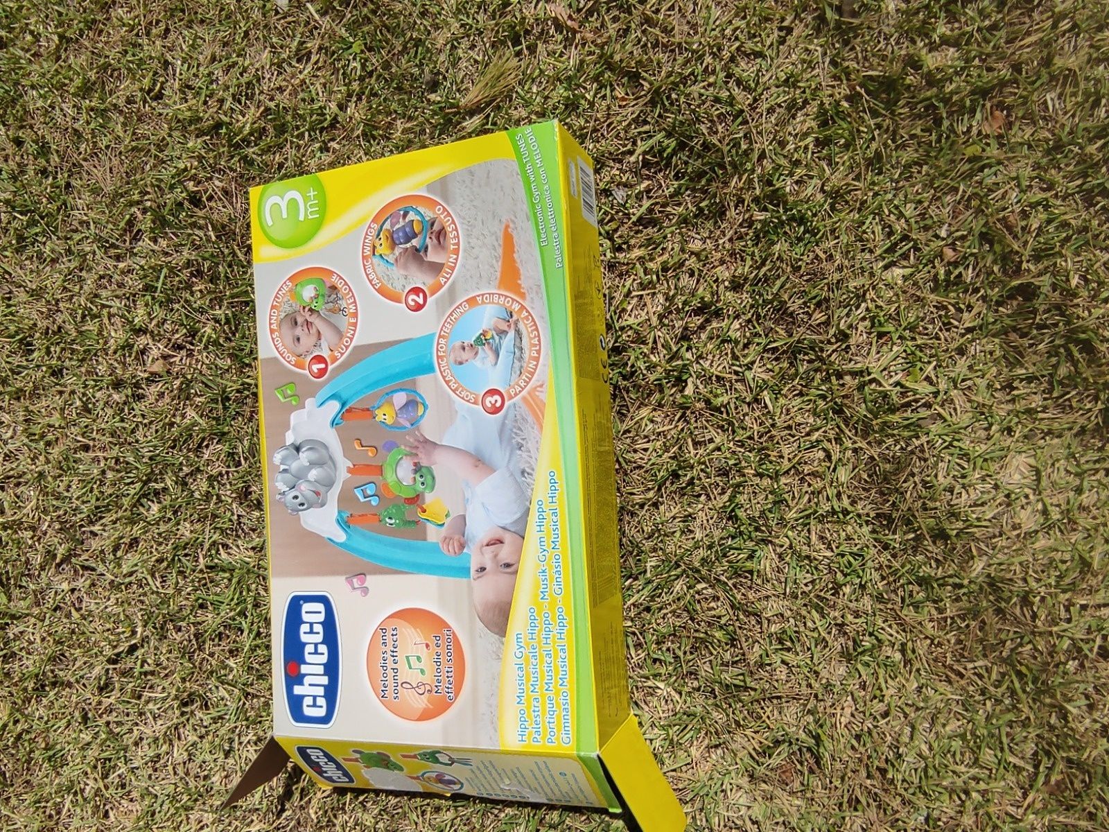 Ginásio musical hippo Chicco