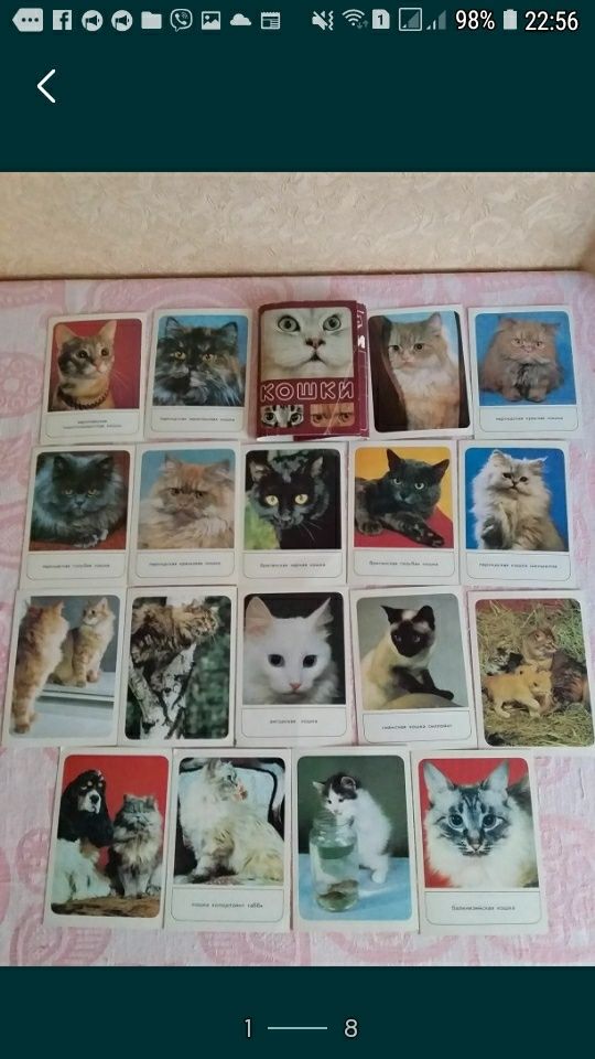 Набор открыток с кошками.