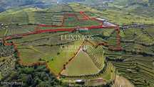 Quinta Vinícola à venda no Douro Valley em Cambres, Lamego, Portugal