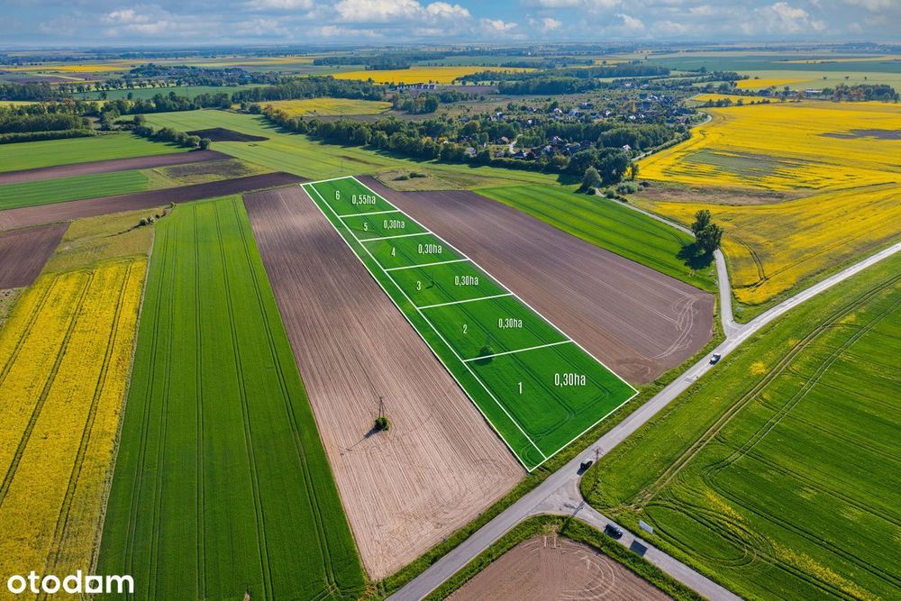 Działki siedliskowe w Bogdaszowicach
