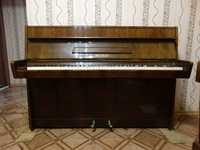 акустическое пианино Petrof