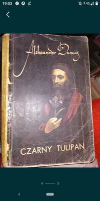 Czarny tulipan Dumas