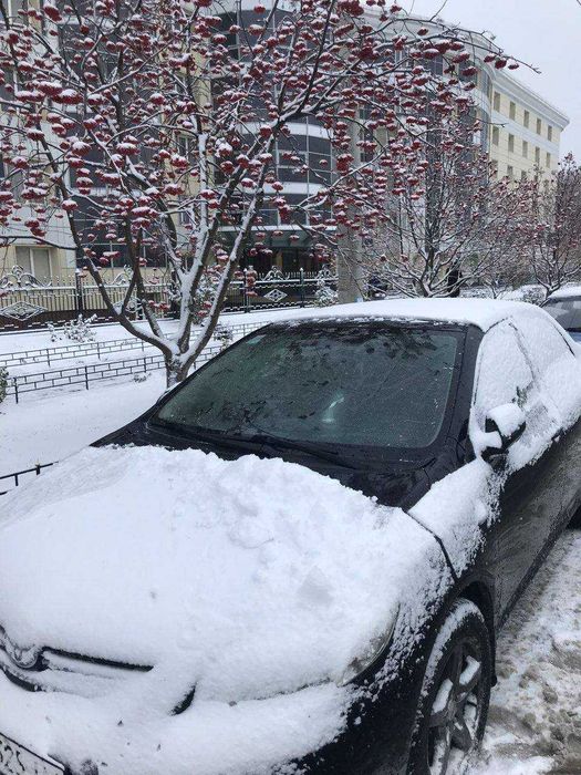 Накидка на магнитах на стекло авто + чехлы на боковые зеркала