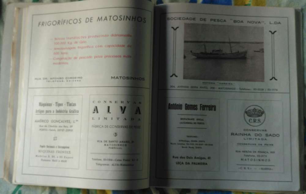 Livro Matosinhos 63